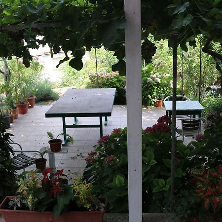 Villa Katarina Losinj Island Mali Lošinj Dış mekan fotoğraf