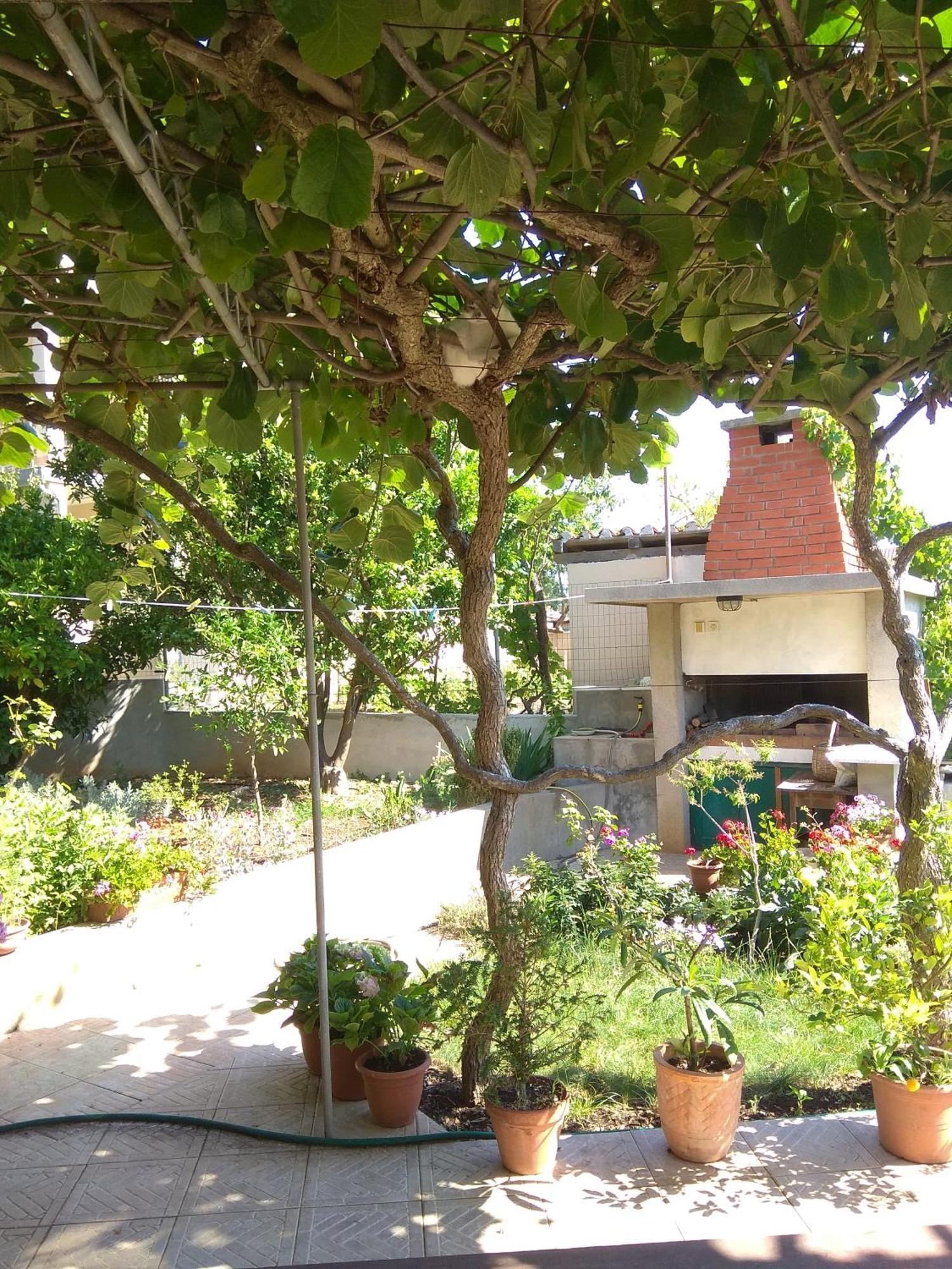 Villa Katarina Losinj Island Mali Lošinj Dış mekan fotoğraf