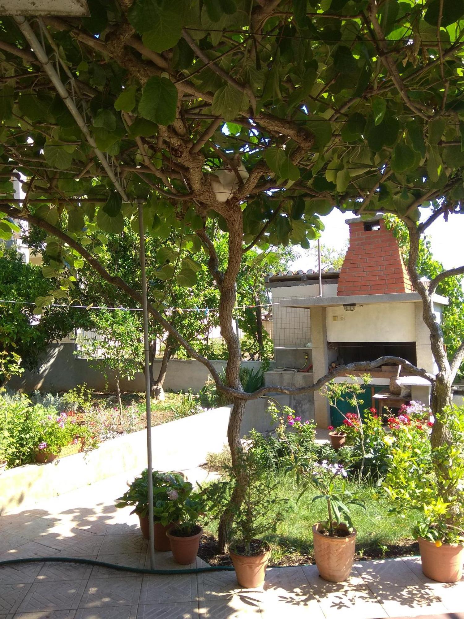 Villa Katarina Losinj Island Mali Lošinj Dış mekan fotoğraf