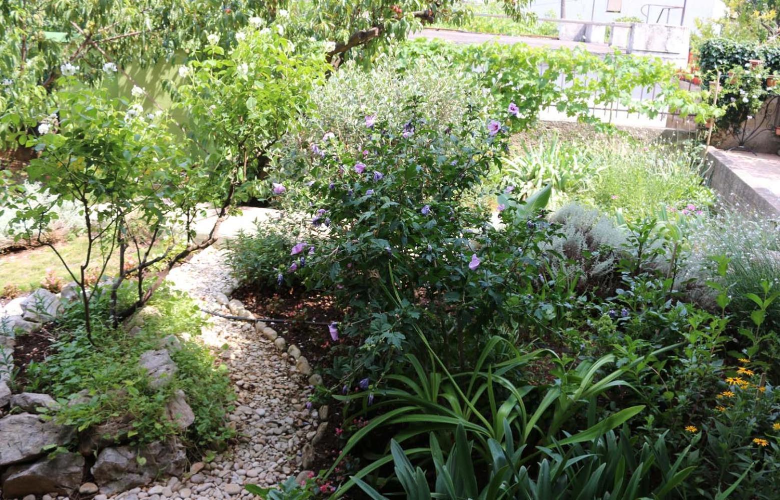Villa Katarina Losinj Island Mali Lošinj Dış mekan fotoğraf