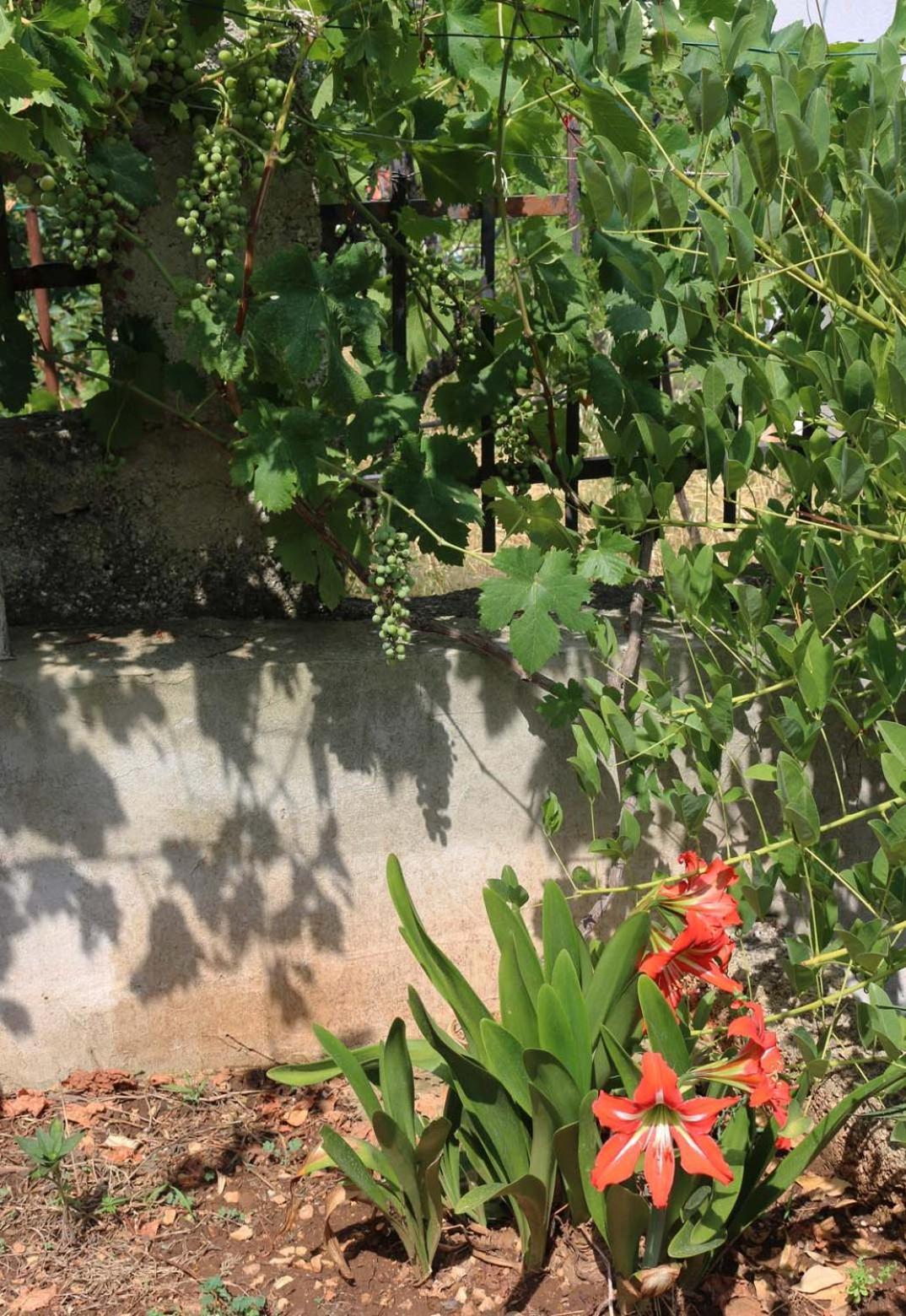 Villa Katarina Losinj Island Mali Lošinj Dış mekan fotoğraf